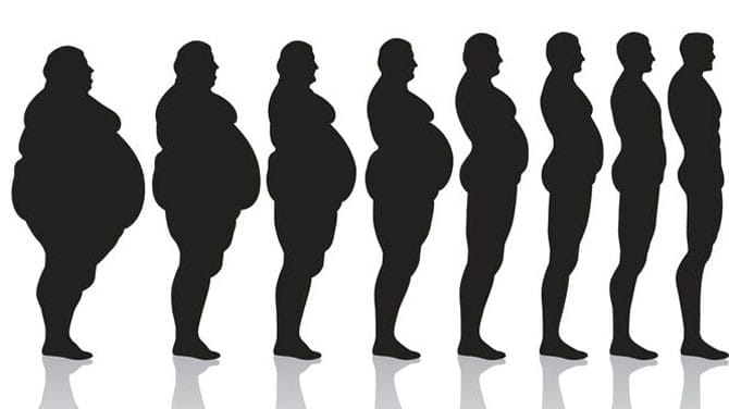 Why Do Keto, Intermittent Fasting and Tracking Macros Work?